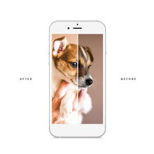 Load image into Gallery viewer, Light &amp; Airy Presets